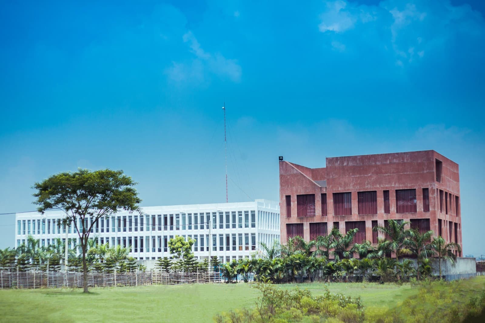 Dhaka International University